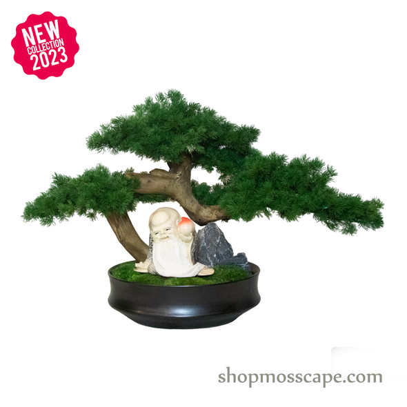 Timeless Tranquility | Bonsai-scape (4-090 w/ MF)