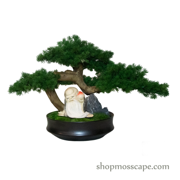 Timeless Tranquility | Bonsai-scape (4-090 w/ MF)