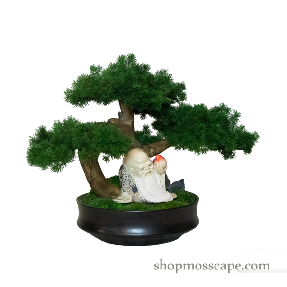 Timeless Tranquility | Bonsai-scape (4-090 w/ MF)