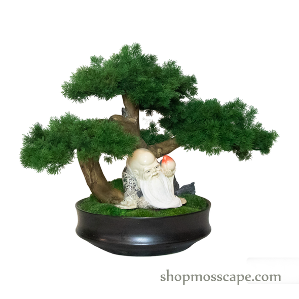 Timeless Tranquility | Bonsai-scape (4-090 w/ MF)