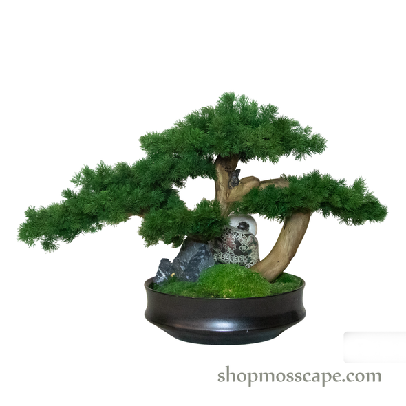 Timeless Tranquility | Bonsai-scape (4-090 w/ MF)