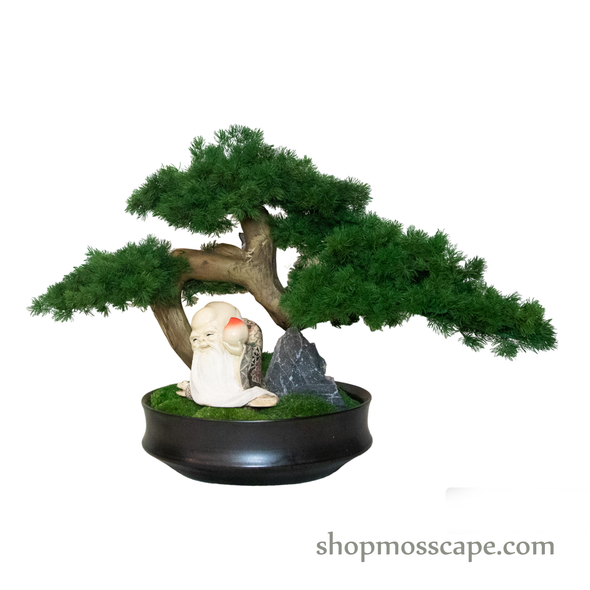 Timeless Tranquility | Bonsai-scape (4-090 w/ MF)