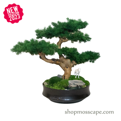 A Holy Horse at the River | Bonsai-scape (4-095 w/ MF)