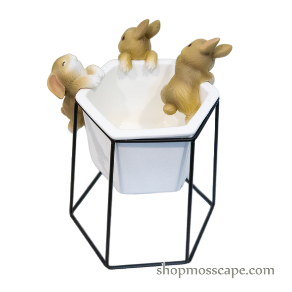 Trio Rabbits in a white pot (Set of 3)