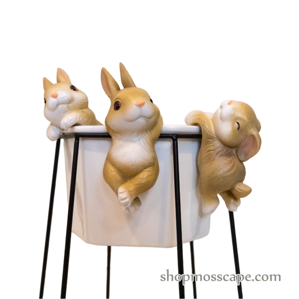 Trio Rabbits in a white pot (Set of 3)