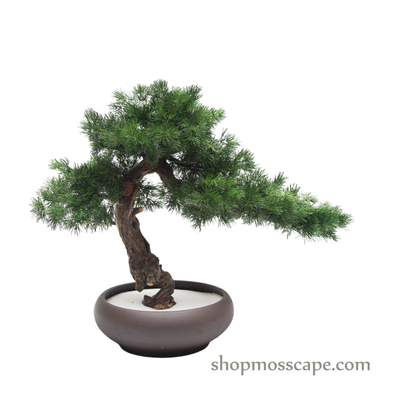 Botanic Poise  | BS (4801 w/ MF)