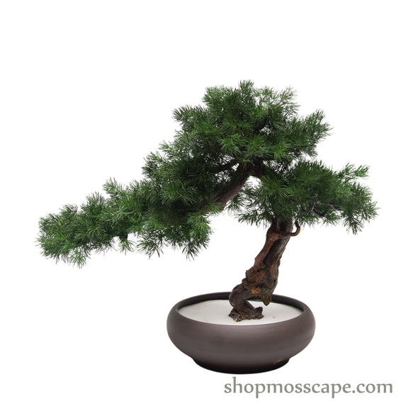 Botanic Poise  | BS (4801 w/ MF)