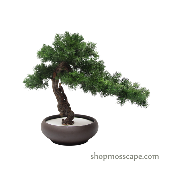Botanic Poise  | BS (4801 w/ MF)