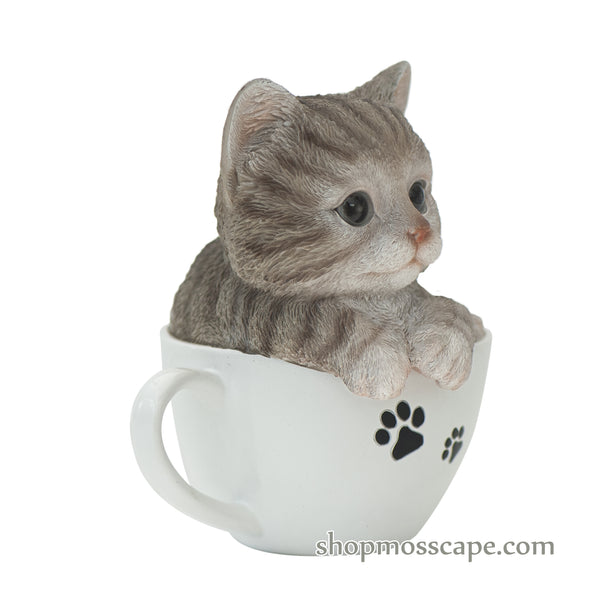 Brown Tabby in a Teacup