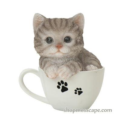 Brown Tabby in a Teacup