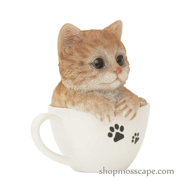 Orange Tabby in a Teacup