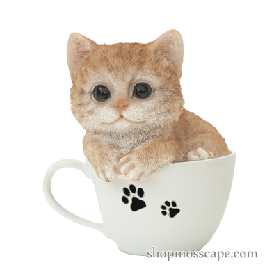 Orange Tabby in a Teacup