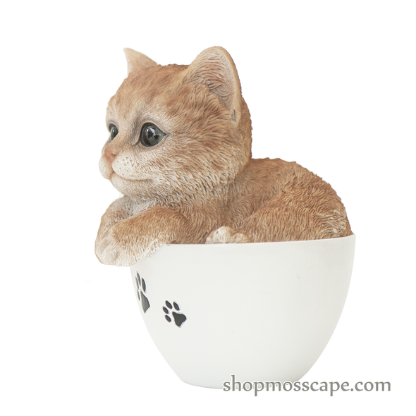 Orange Tabby in a Teacup