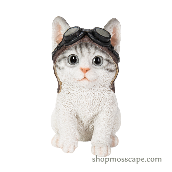 Cat with Helmet