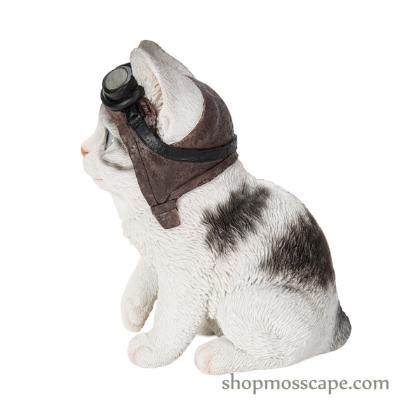 Cat with Helmet
