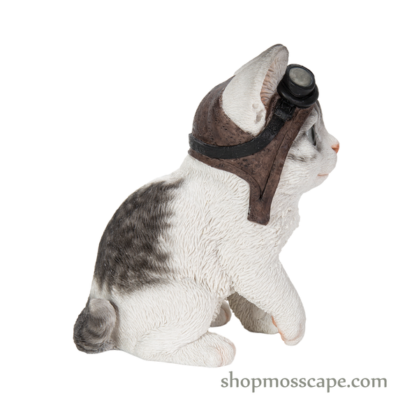 Cat with Helmet
