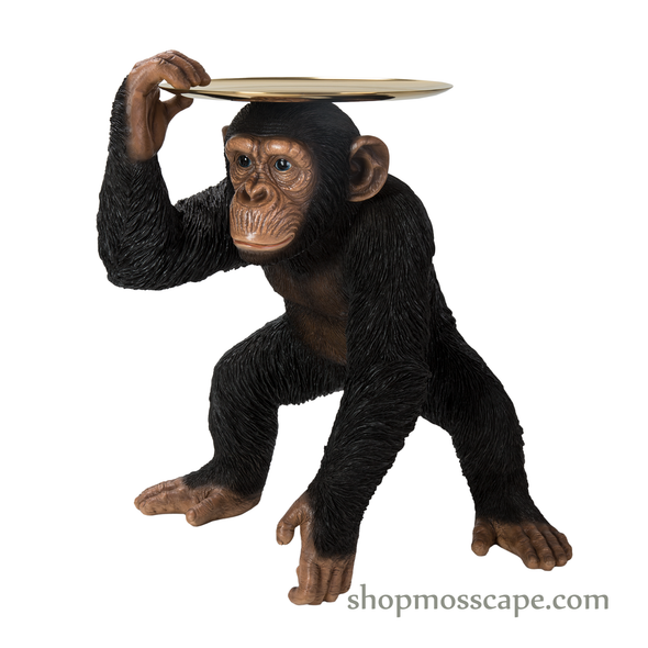 Chimpanzee with Gold Tray