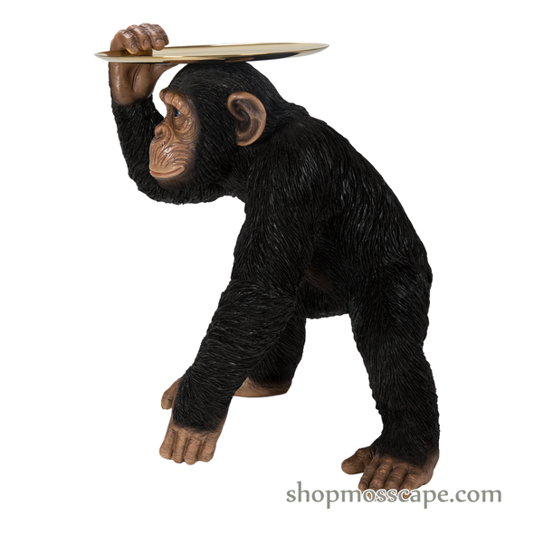 Chimpanzee with Gold Tray