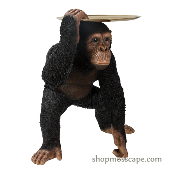 Chimpanzee with Gold Tray