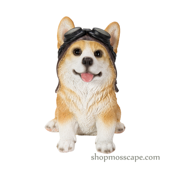 Corgi with Helmet
