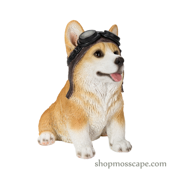 Corgi with Helmet