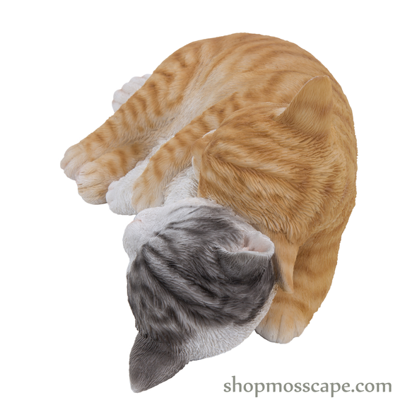 Couple Sleeping Cats Fridge