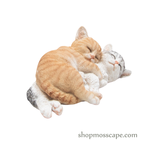Couple Sleeping Kittens