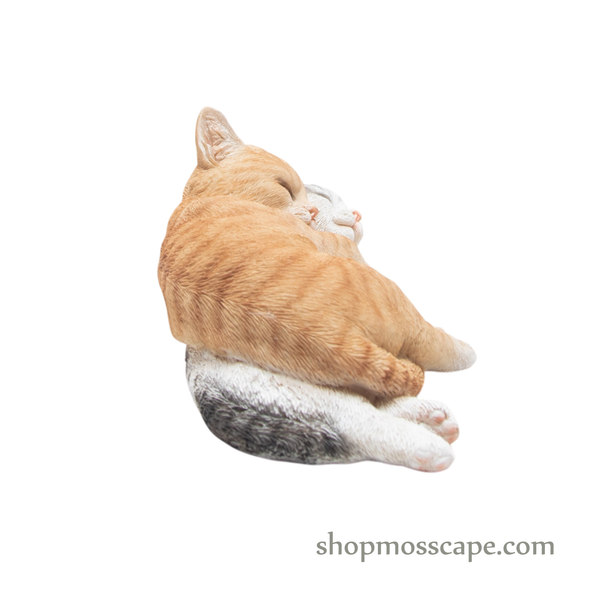 Couple Sleeping Kittens