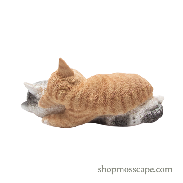 Couple Sleeping Kittens