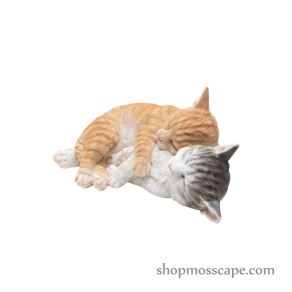 Couple Sleeping Kittens