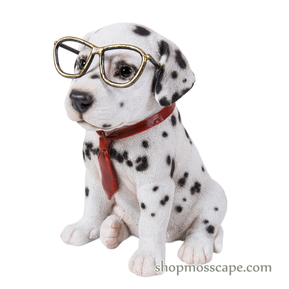 Sitting Dalmatian with glasses