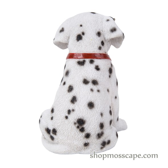 Sitting Dalmatian with glasses