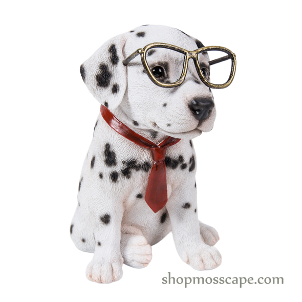 Sitting Dalmatian with glasses