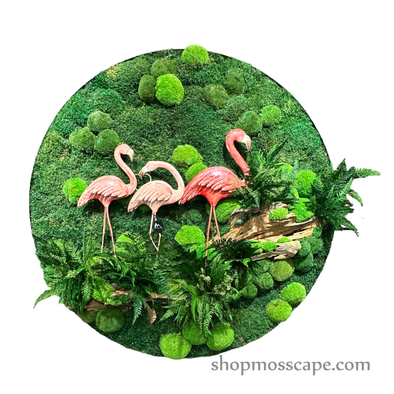 Graceful Oasis | Framed Moss Art (052)