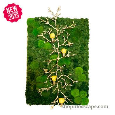 Upwards with Resound | Framed Moss Art (054)