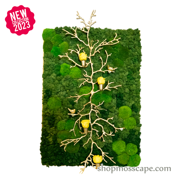 Upwards with Resound | Framed Moss Art (054)