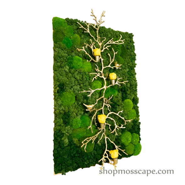 Upwards with Resound | Framed Moss Art (054)