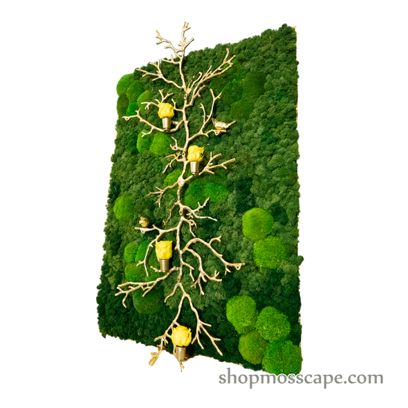 Upwards with Resound | Framed Moss Art (054)