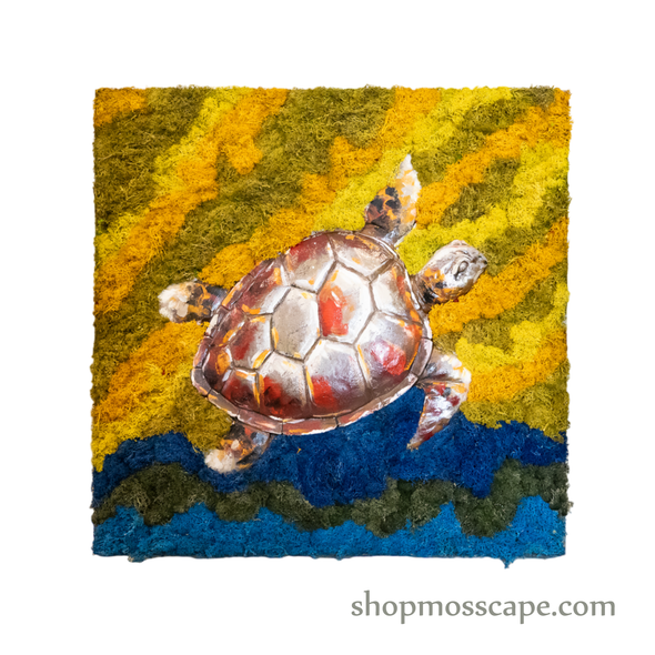 Turtle on Sea | Framed Moss Art (055)