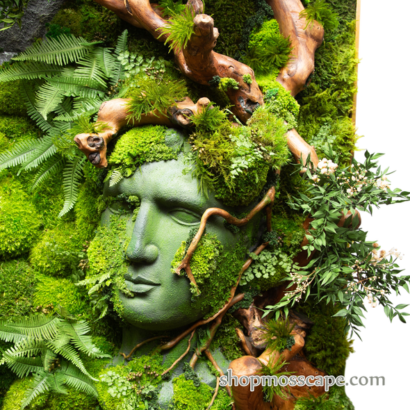 David Reclaimed by Nature | FMA (065)