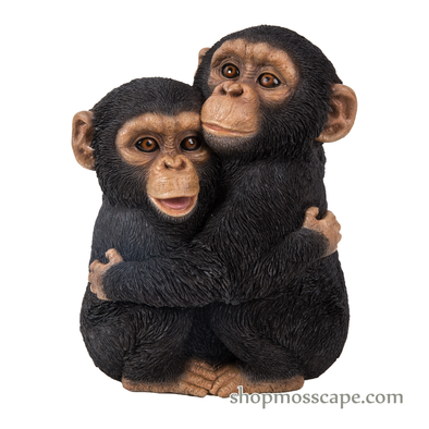 Hugging Baby Chimpanzees (XS)