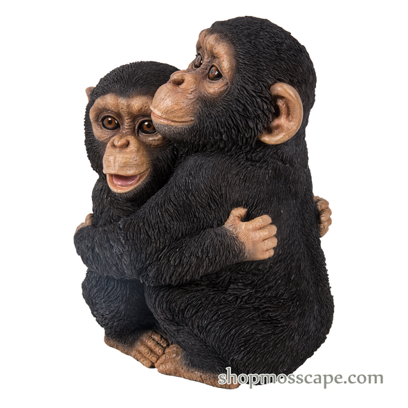 Hugging Baby Chimpanzees (XS)