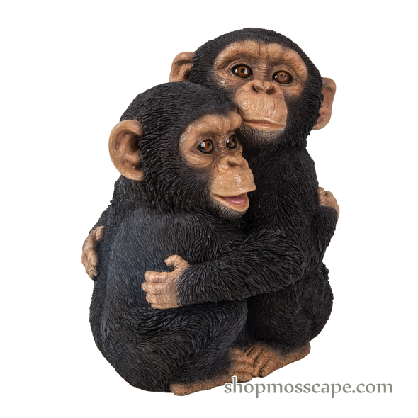 Hugging Baby Chimpanzees (XS)