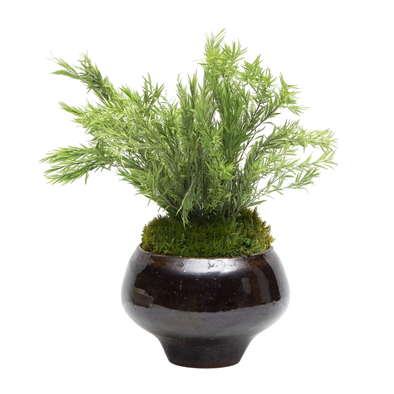 Preserved Tea Tree | Preserved Plants (7801 w/ TT)