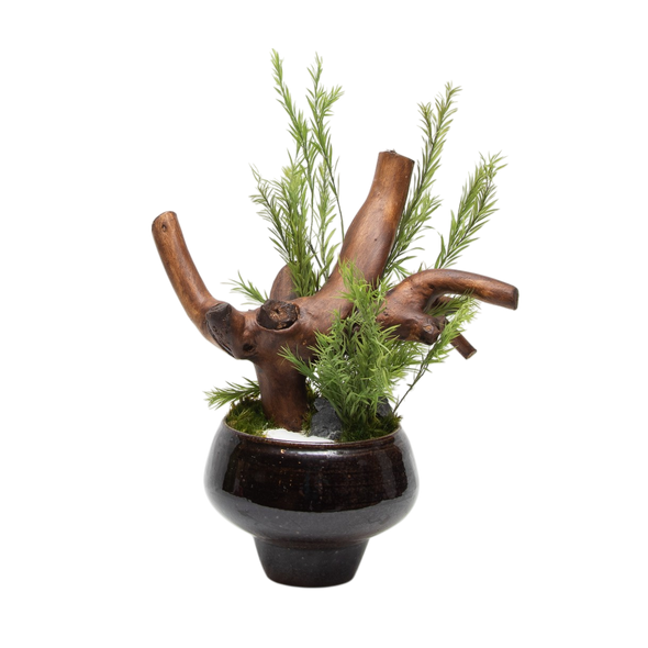Preserved Tea Tree | Preserved Plants (8801 w/ TT)
