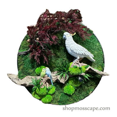 Feathered Haven | Framed Moss Art (050)