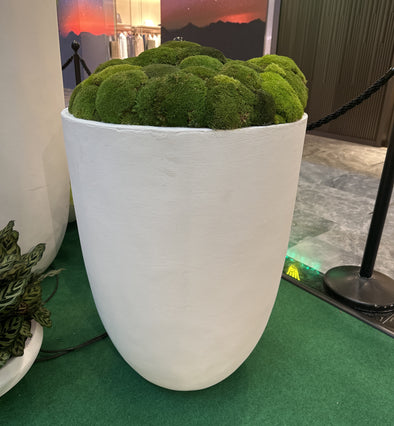 Preserved Moss in White Large Pot 1200
