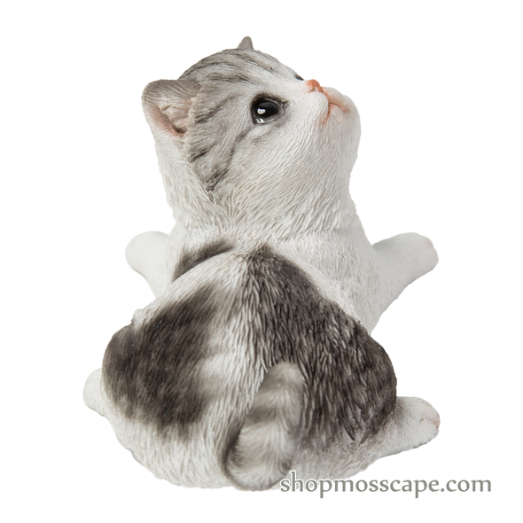 Kitten Looking Back Right