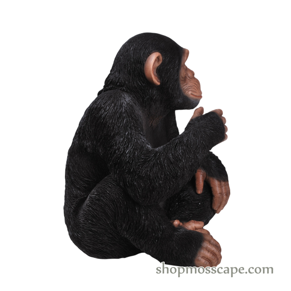 Knee Up Chimpanzee
