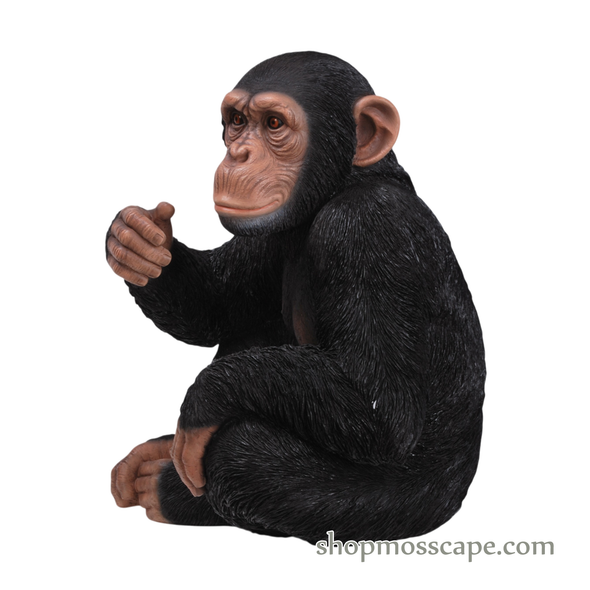 Knee Up Chimpanzee